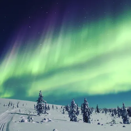 Castillo Moitakuru 사리셀카