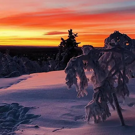 Castillo Moitakuru * 사리셀카