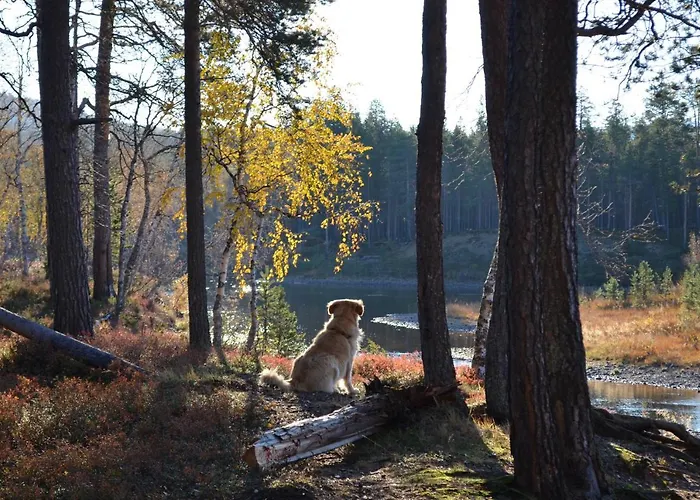 Castillo Moitakuru Tatil Evi